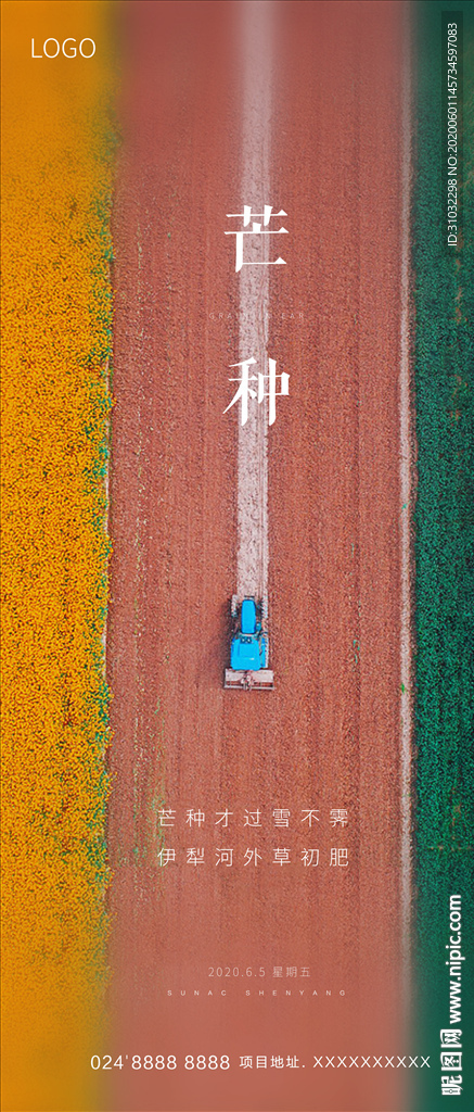 芒种