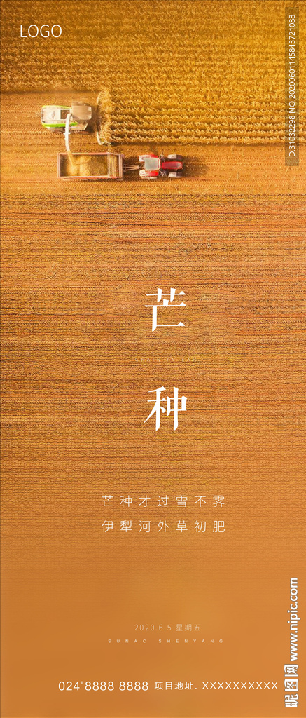 芒种