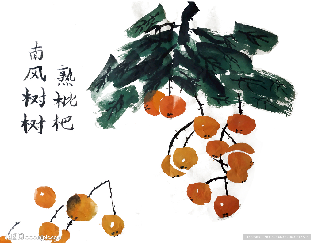 枇杷