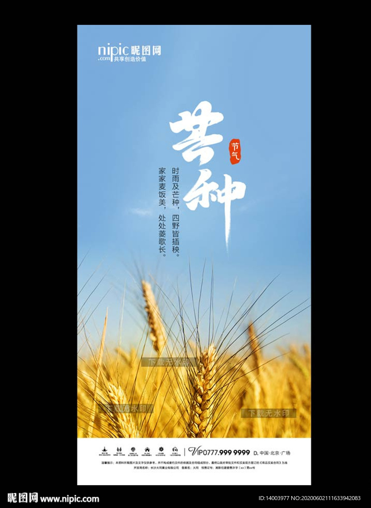 芒种微信