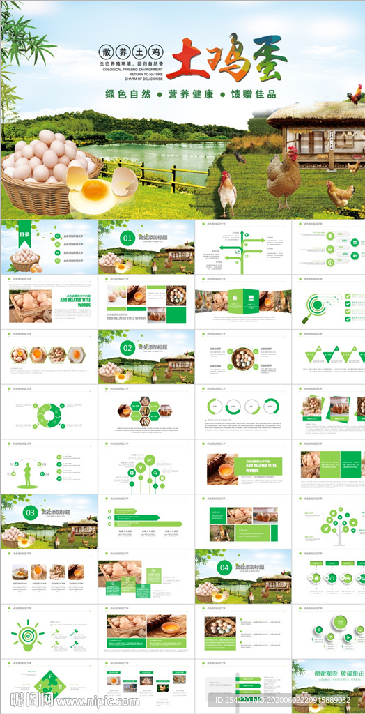 养鸡场生态养殖农家土鸡蛋ppt