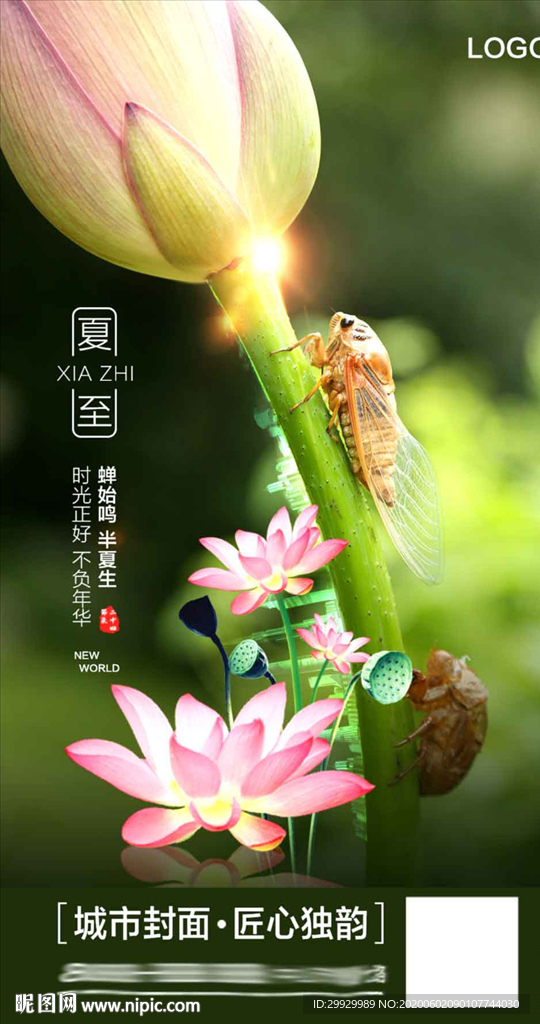 夏至