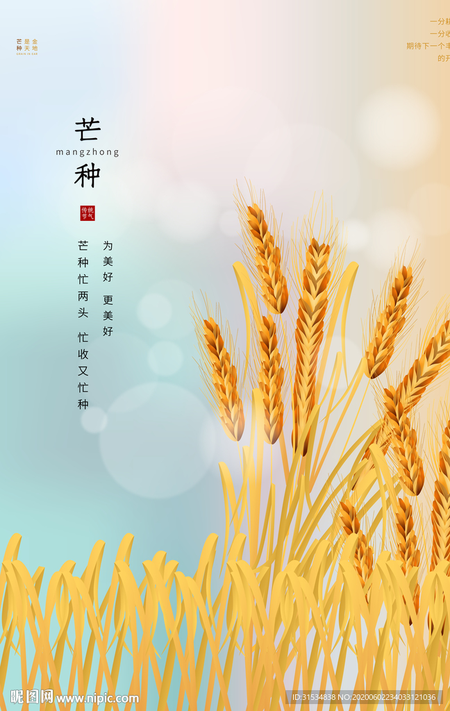 芒种