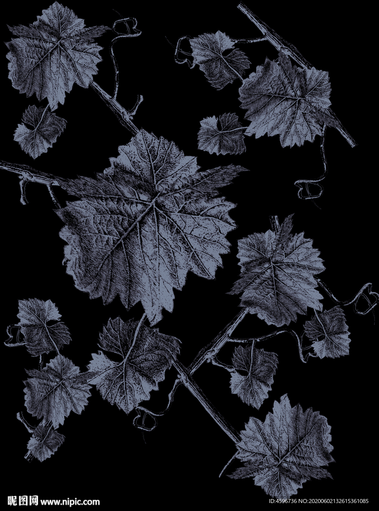 大牌 图腾 欧式 花纹 数码