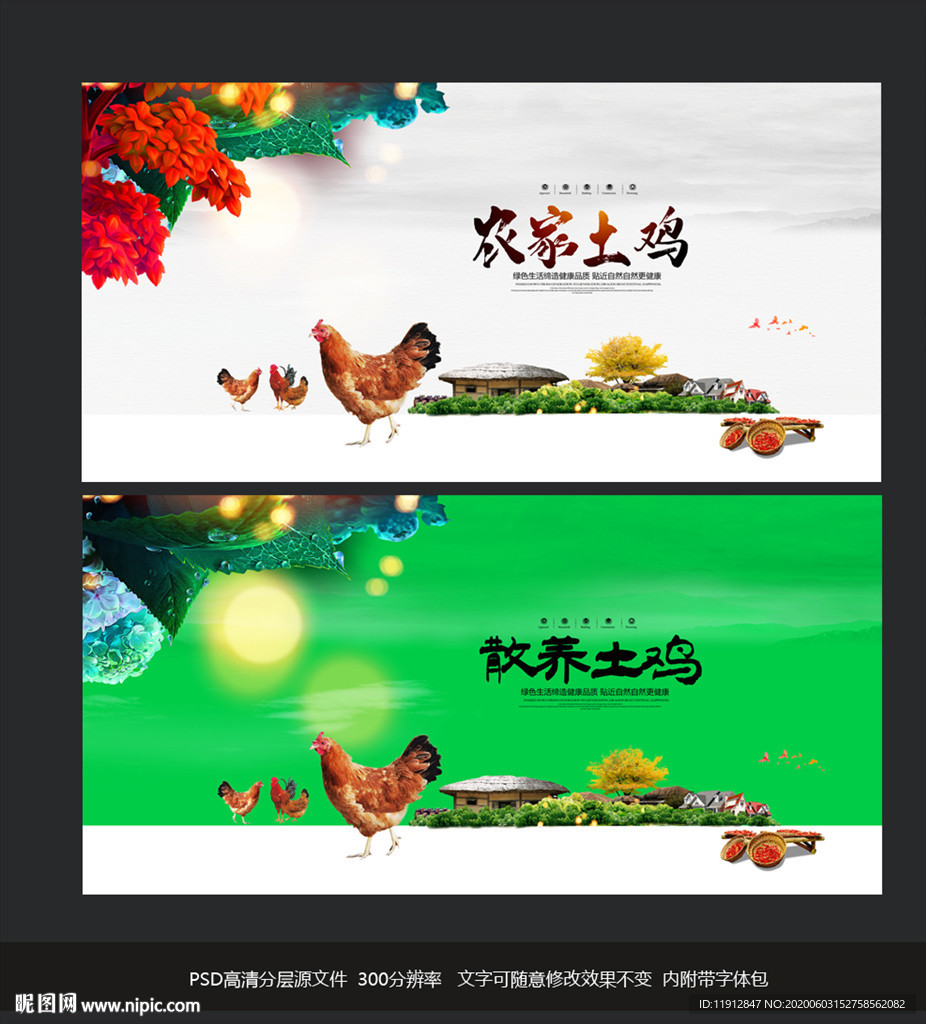 土鸡