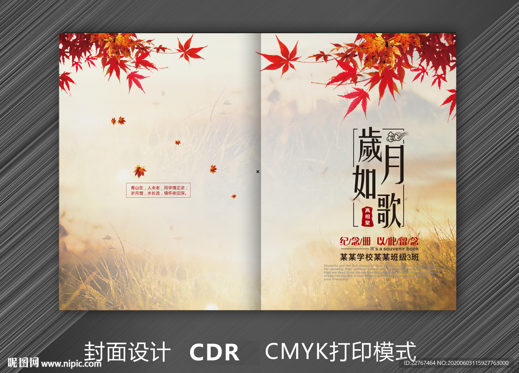 岁月如歌封面