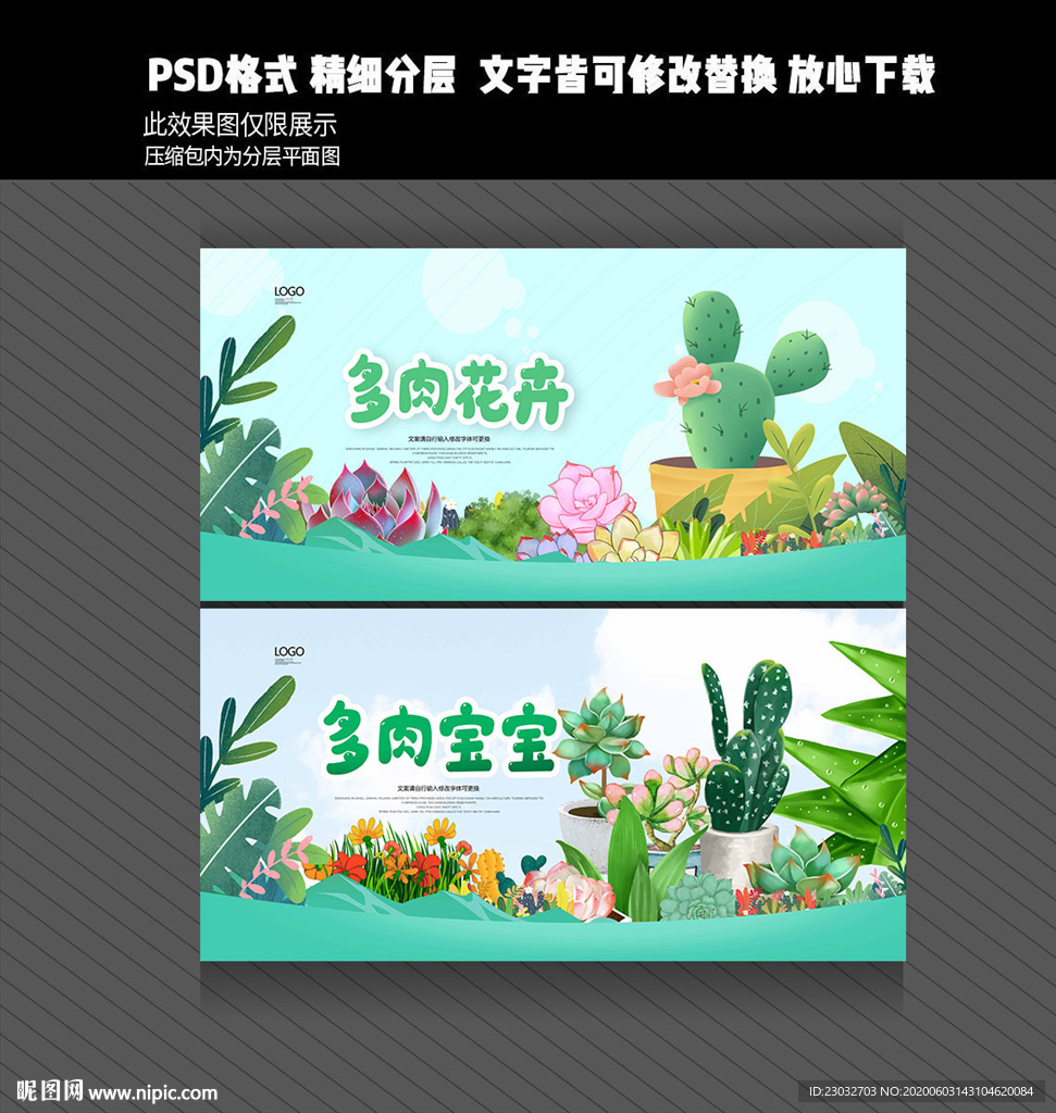 多肉植物