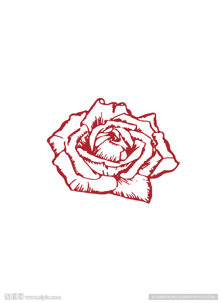 玫瑰花