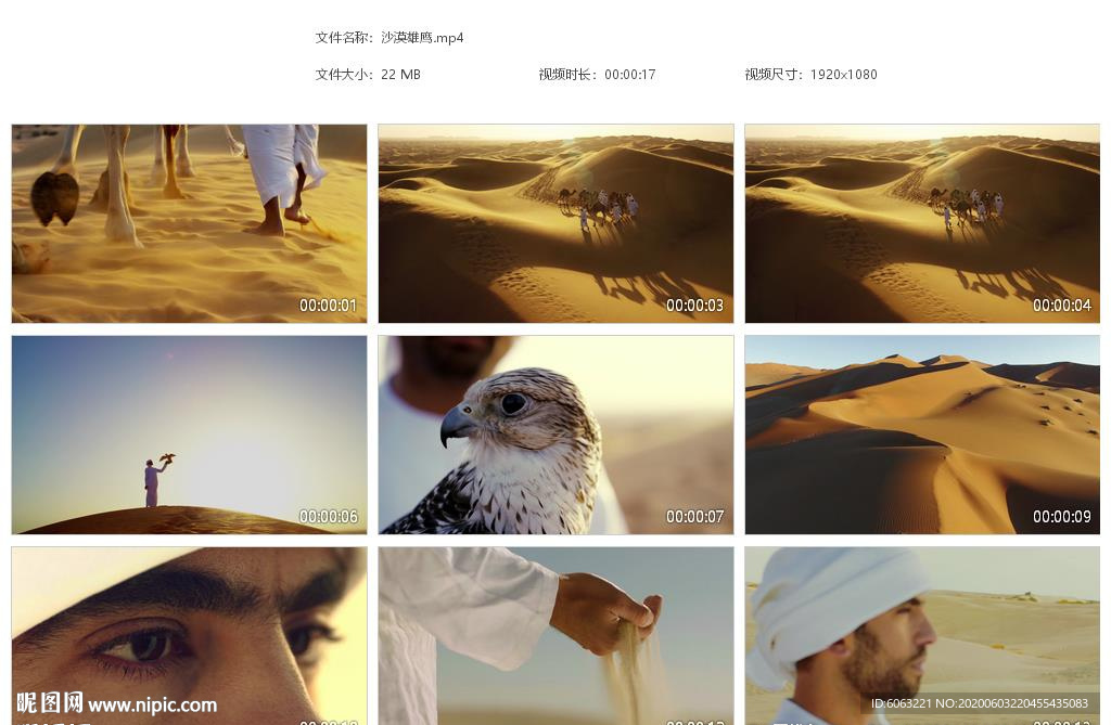 沙漠雄鹰雄鹰展翅 骆驼沙漠