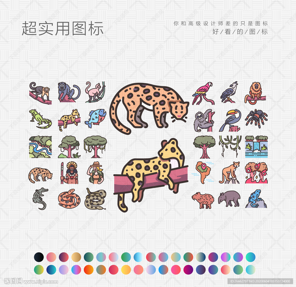 野生动物