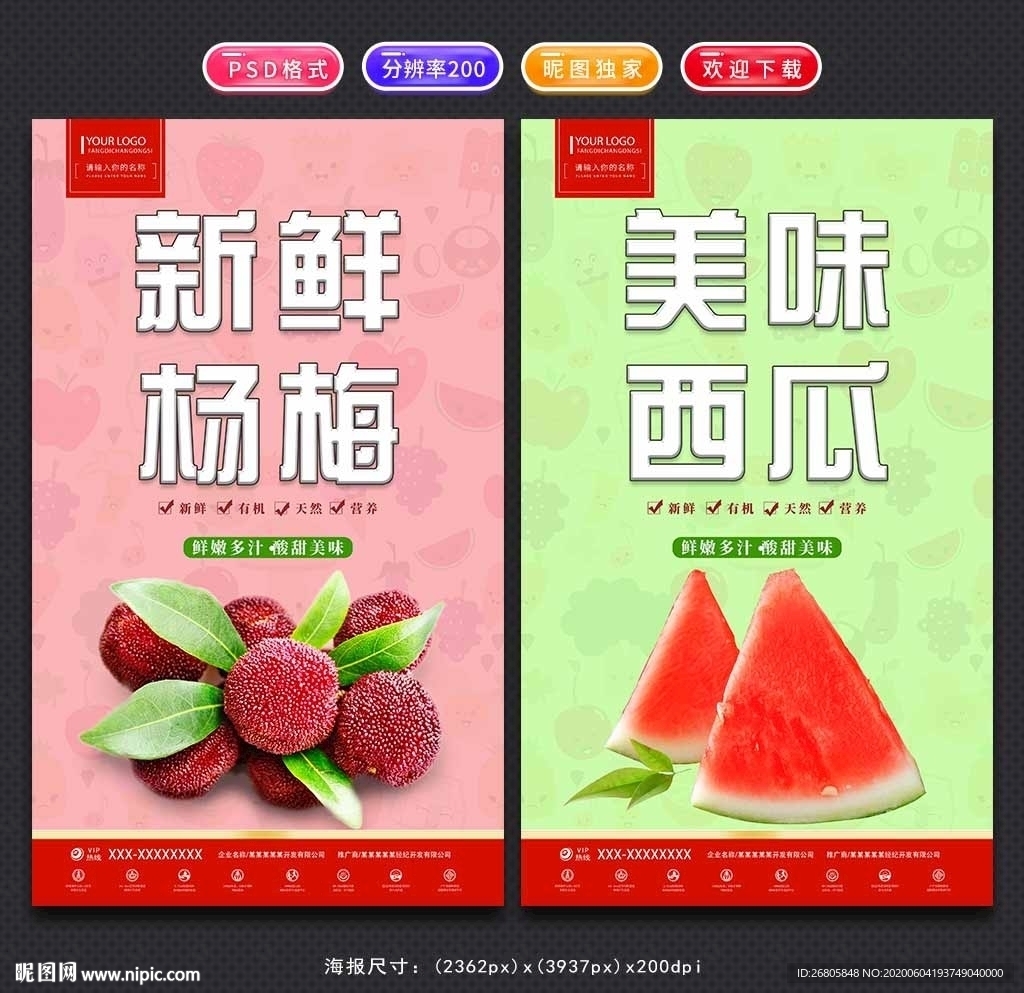 水果挂图
