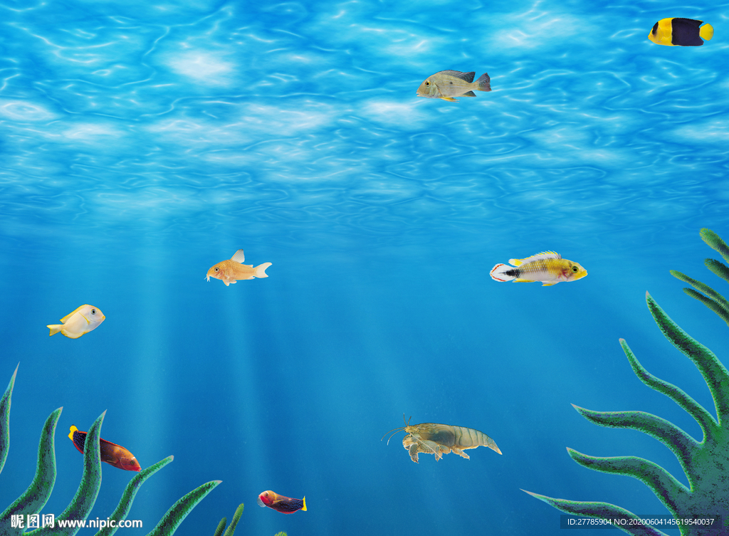 海洋生物