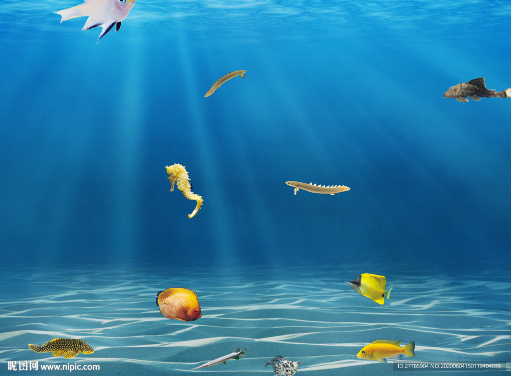 海洋生物