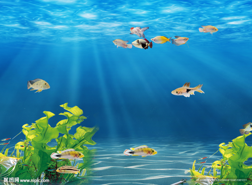 海洋生物