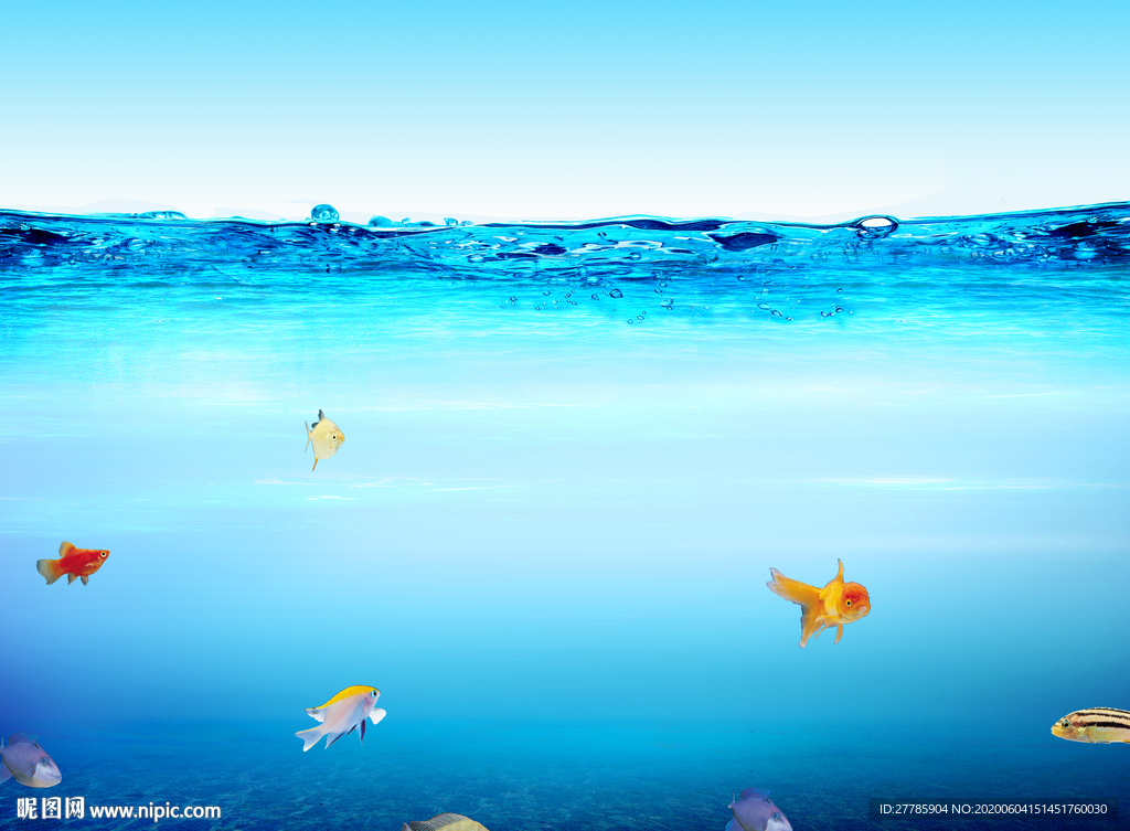 海洋世界