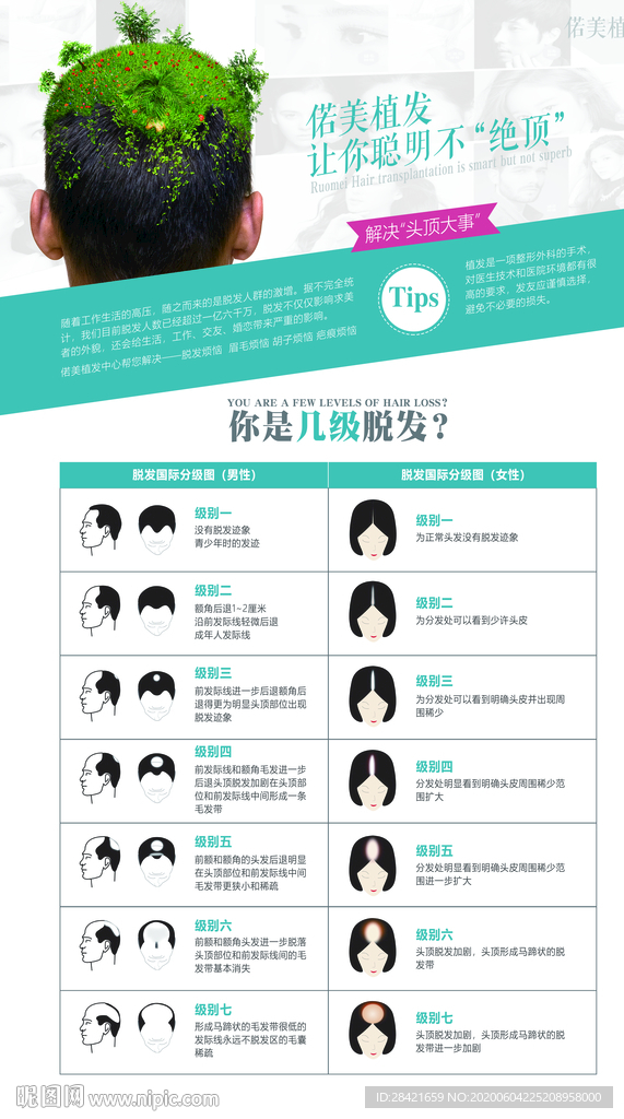 医美整形植发海报脱发等级