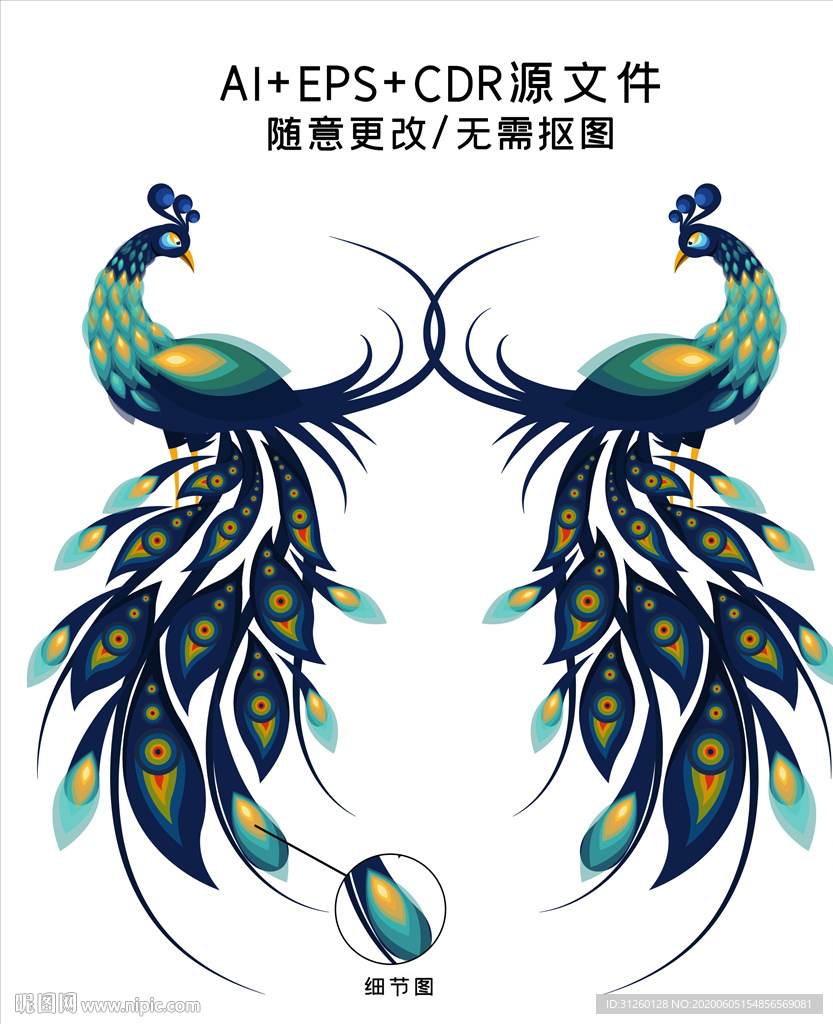 孔雀手绘矢量插画