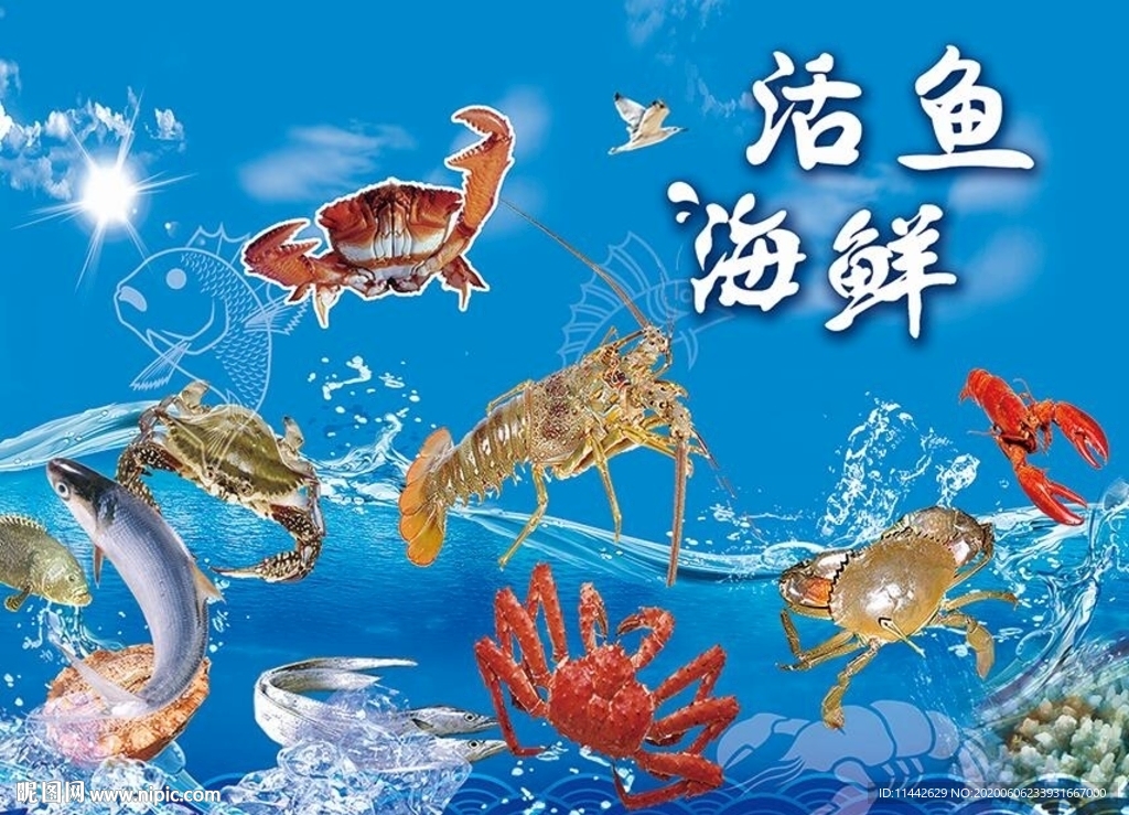 活鱼 海鲜