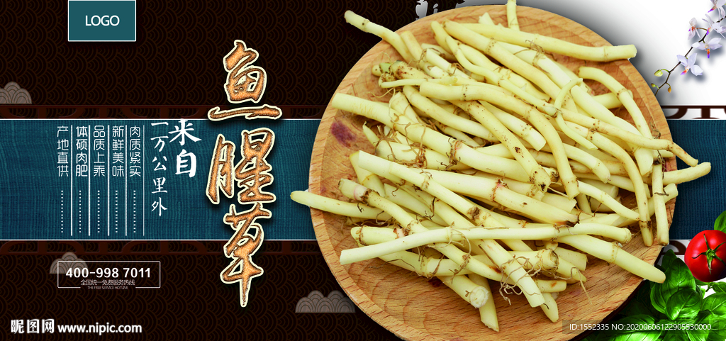 鱼腥草