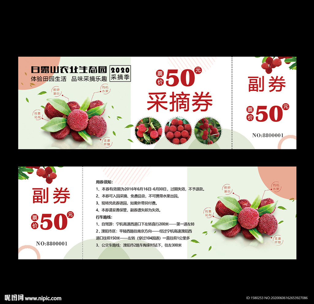 杨梅券