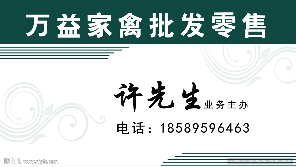 家禽零售批发名片设计