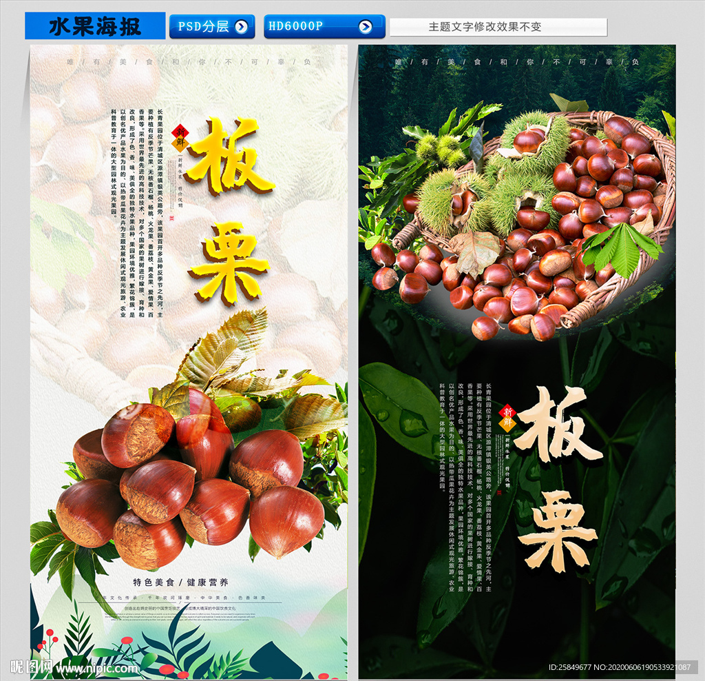 板栗