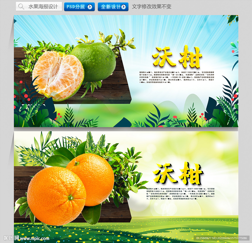 沃柑
