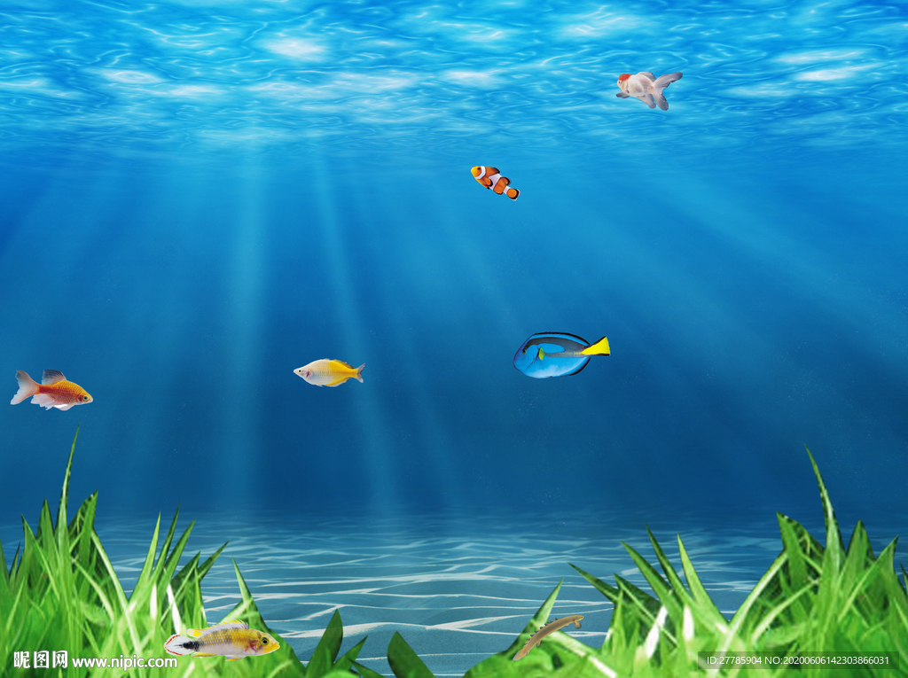 海洋世界