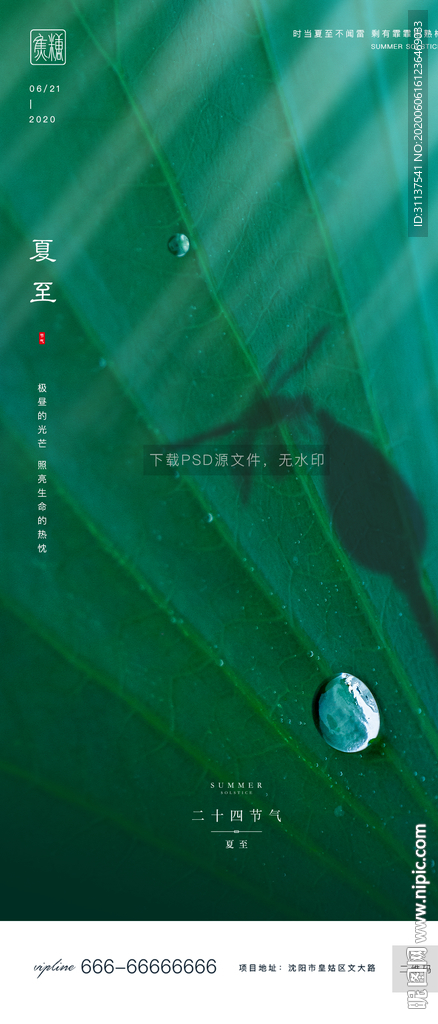 夏至