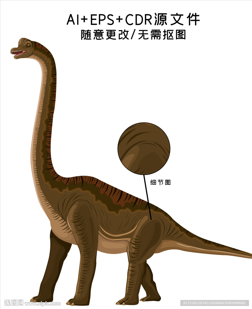 恐龙矢量插画素材