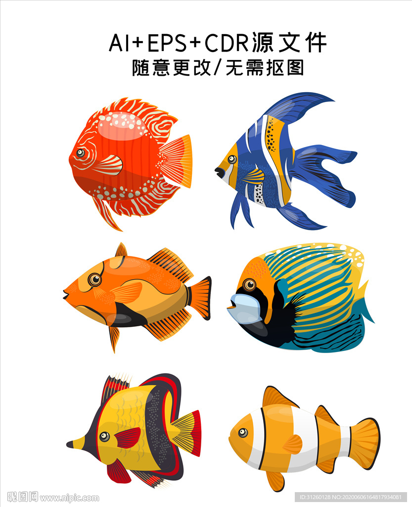 矢量手绘鱼插画素材