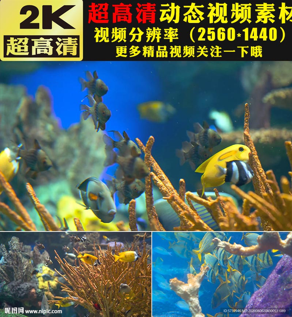 唯美海洋主题舞台背景视频素材