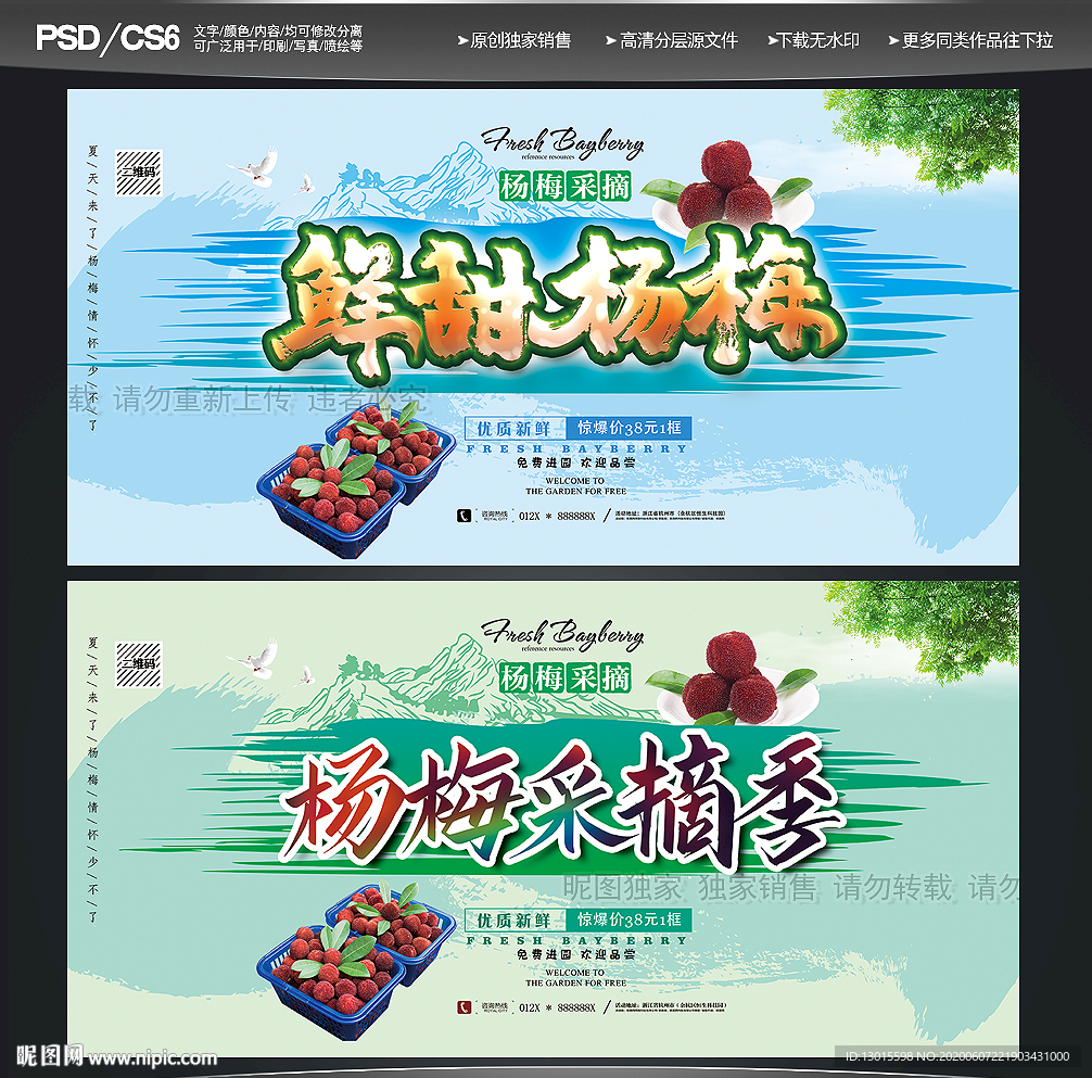 杨梅节 杨梅季 杨梅采摘