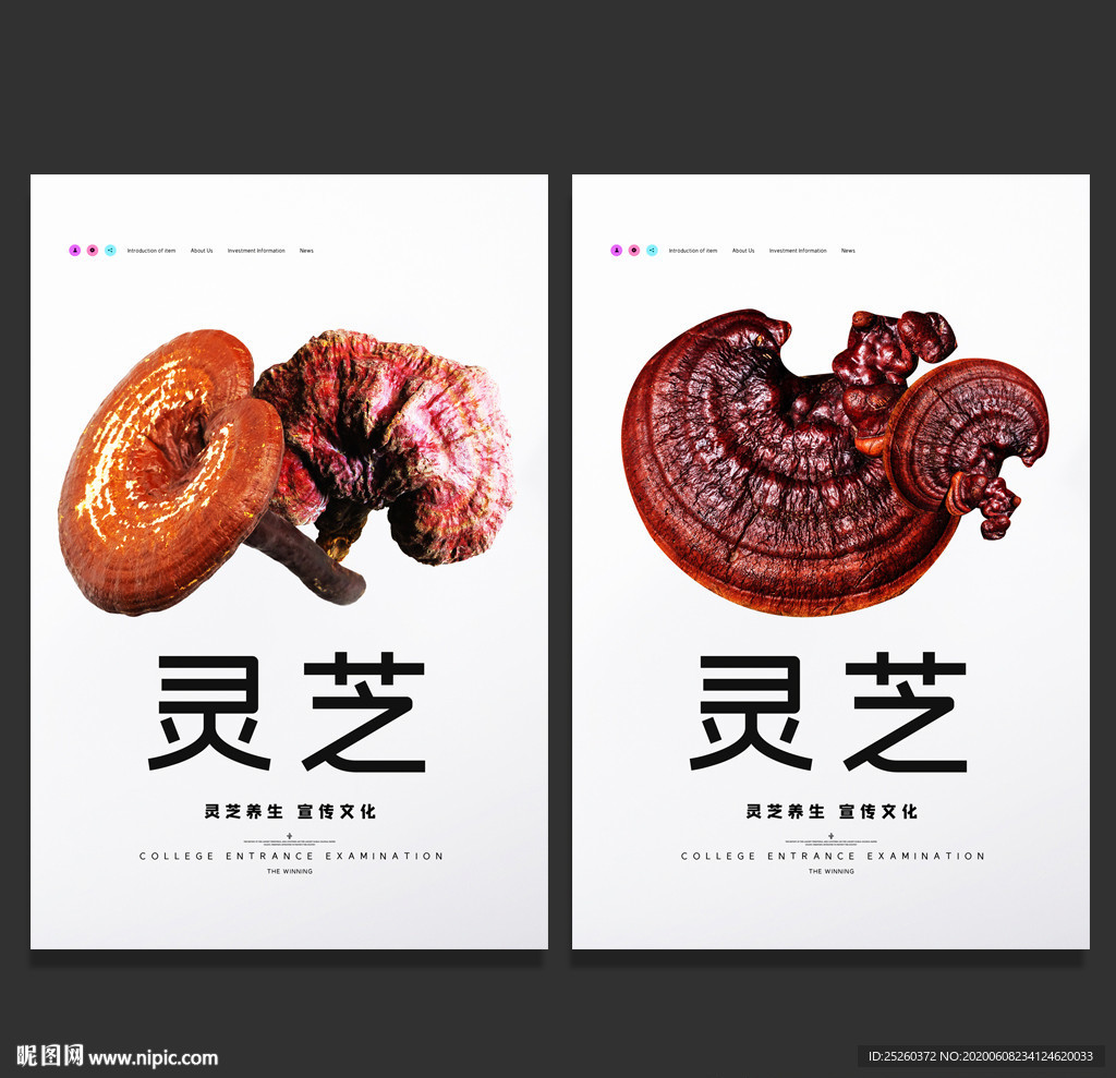 灵芝