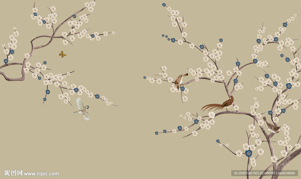 手绘花鸟图片