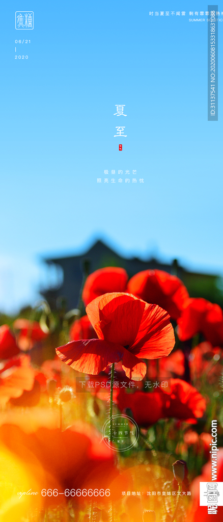 夏至