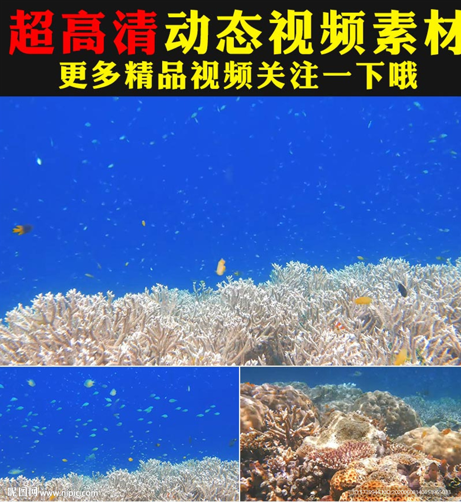 唯美海底世界水族馆视频素材