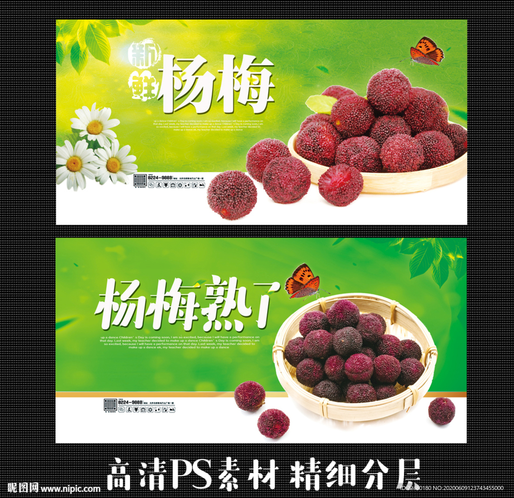 杨梅