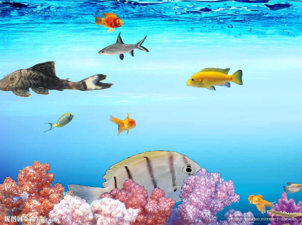 海洋馆