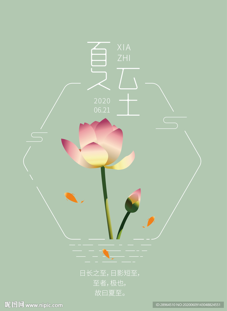 夏至海报