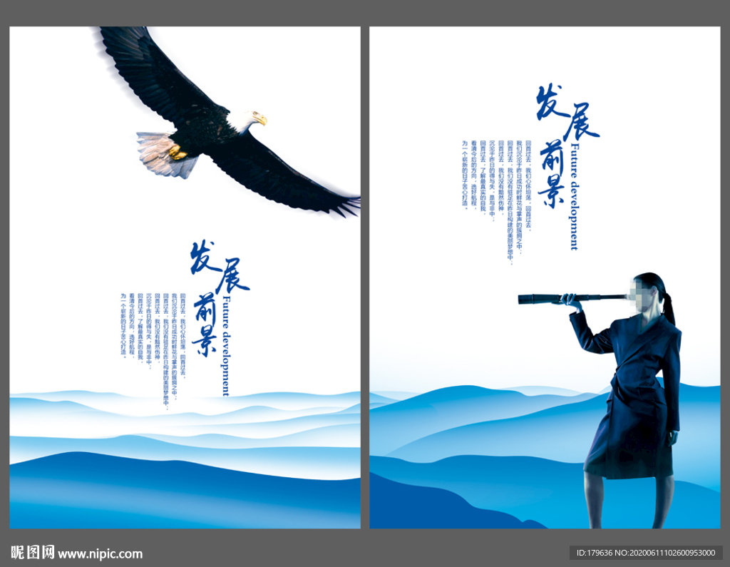 鹰