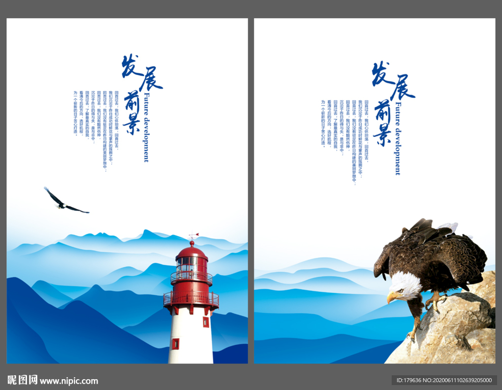 老鹰