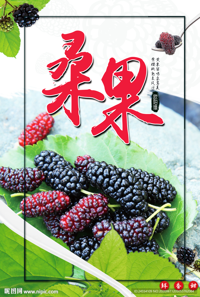 桑葚采摘 桑葚 桑葚上市 桑甚