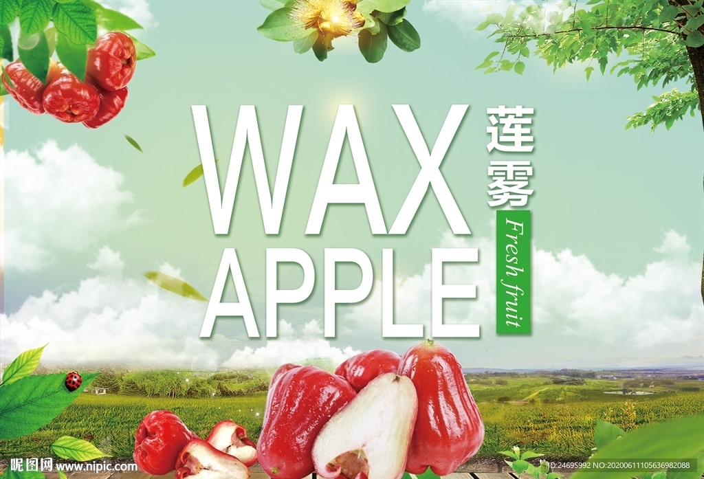 莲雾礼盒