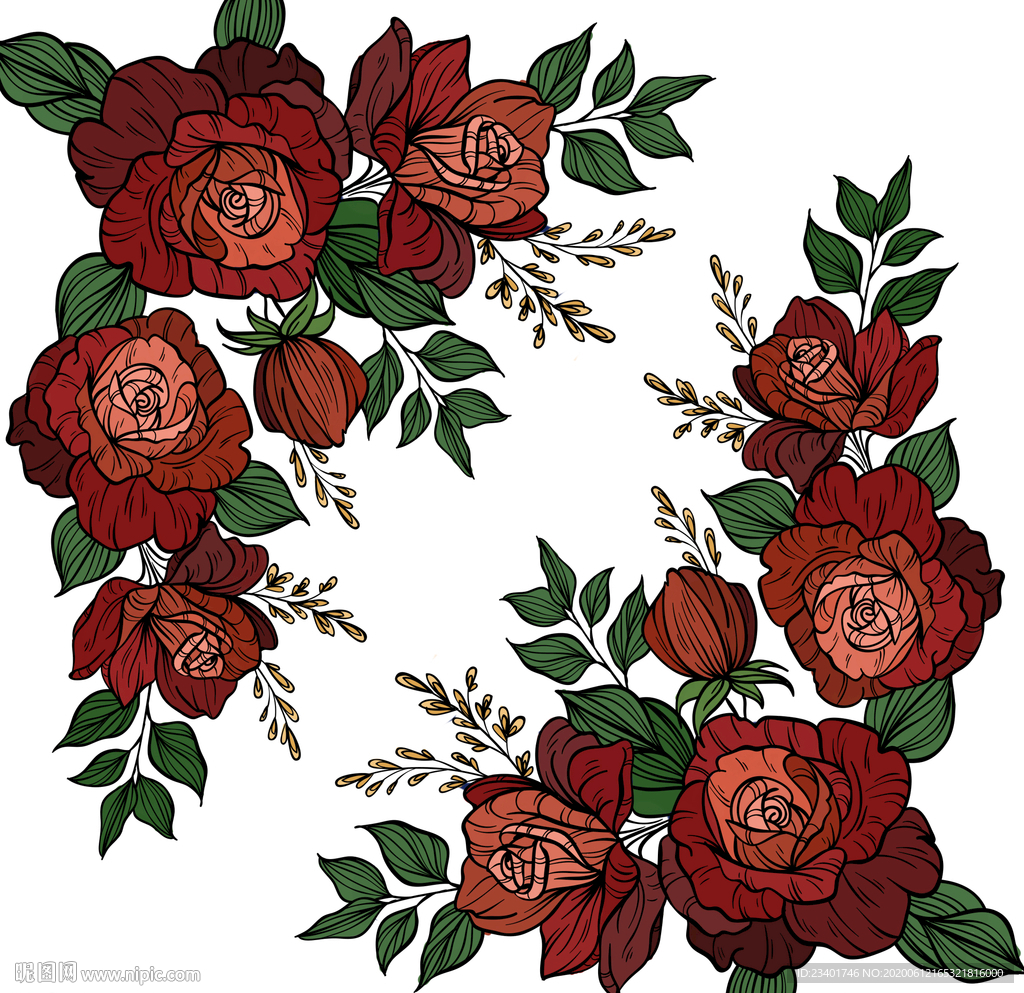 玫瑰插画花边素材