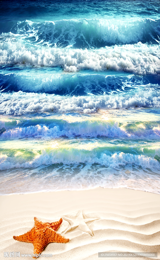 海滩沙滩贝壳浪花3D地板地砖