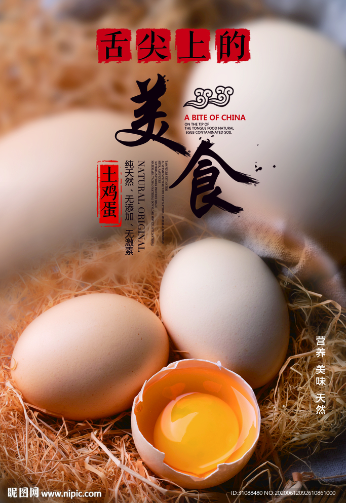 鸡蛋海报 土鸡蛋海报  柴鸡蛋
