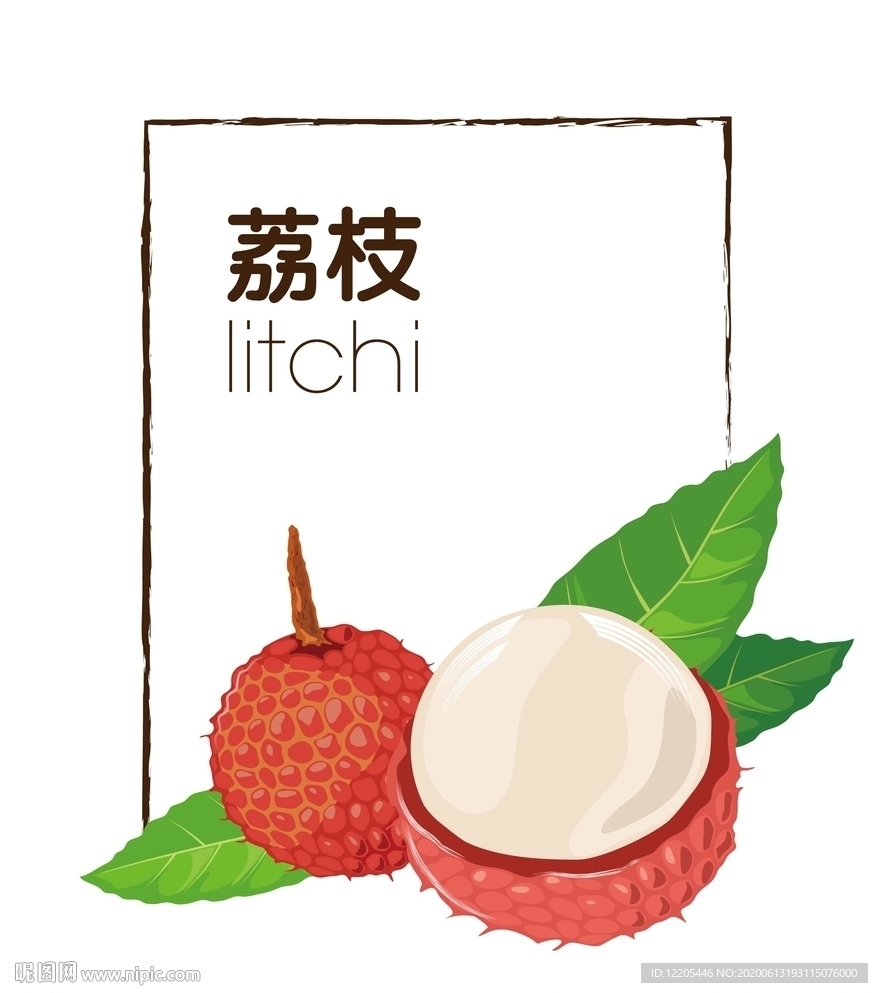 荔枝矢量素材