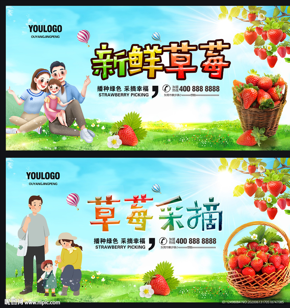 草莓采摘