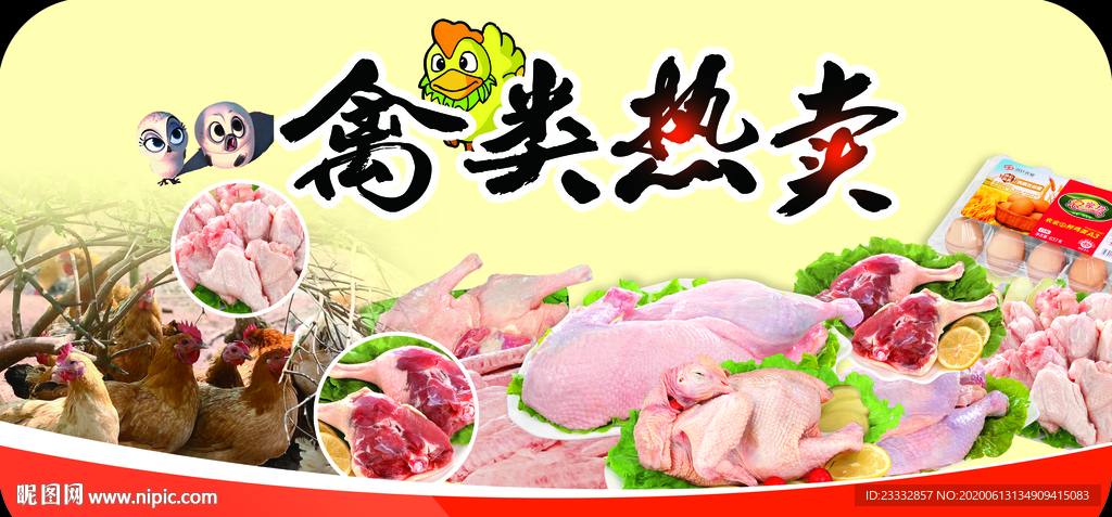 禽类热卖